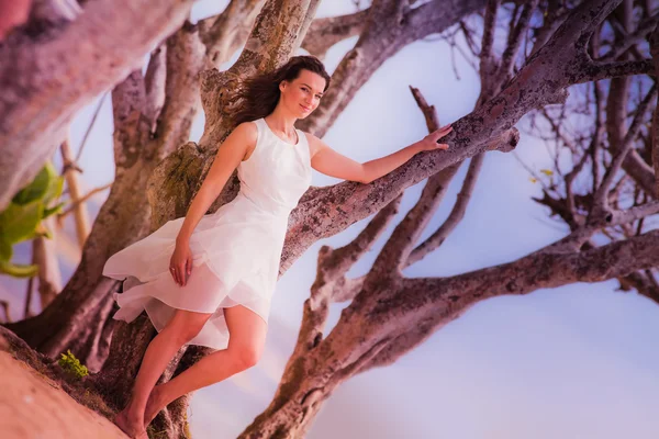 Novia cerca del árbol — Foto de Stock