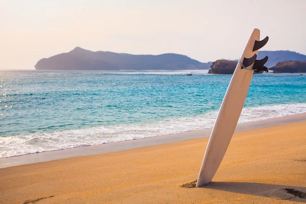 Deska surfingowa na dzikiej plaży — Zdjęcie stockowe