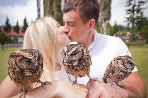 Casal segurando em uma mão de belas corujas — Fotografia de Stock