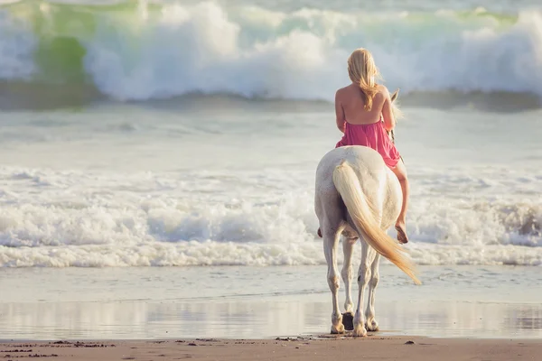 Young woman riding a horse — Stock Photo, Image