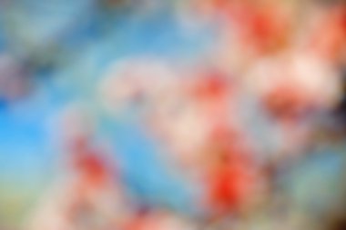 arka plan soyut bokeh