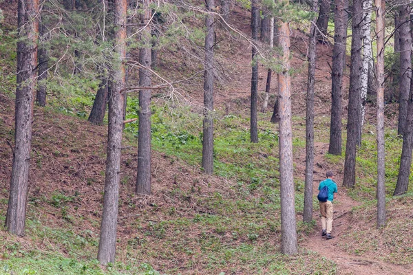 Background of deep forest with hiking a tourist — Stock Photo, Image