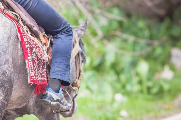 Hintergrund des Mannes auf einem Pferd — Stockfoto