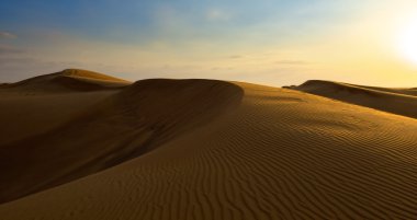 Safari at Sunset, Dubai