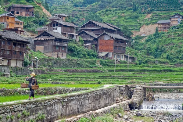 Chinese farmer going to work through rice terrace — Φωτογραφία Αρχείου