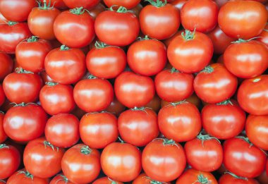 kırmızı domates, Market