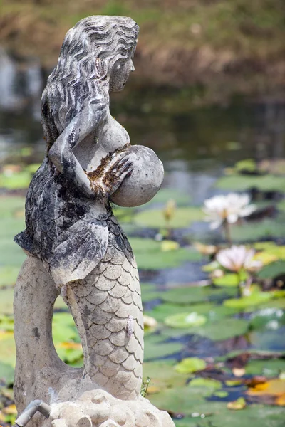 Grüner Teich in Bali — Stockfoto