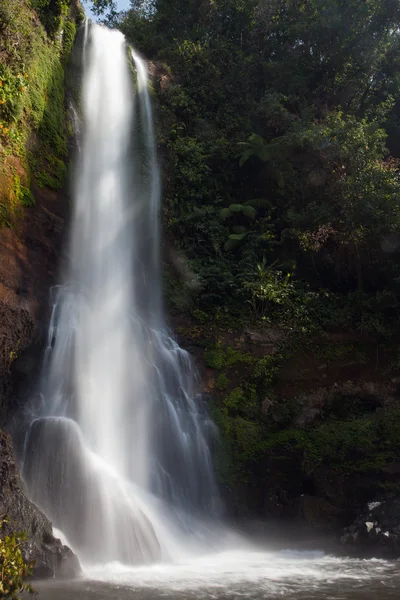 Один из водопадов Бали — стоковое фото