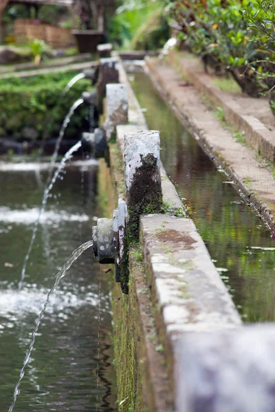 Gouttes d'eau douce dans une tasse — Photo