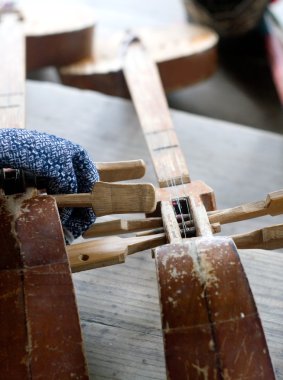 Dong insan müzik aleti