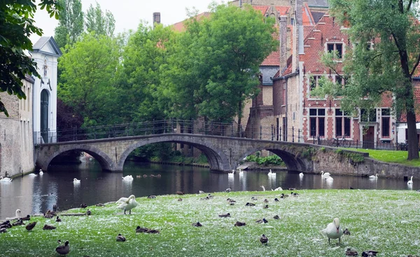 The canal and the bridge of the old part in Bruges — Stock Photo, Image