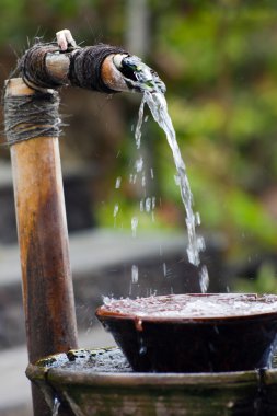 bir kaba su damlaları