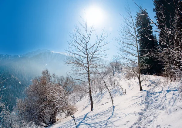 Zasněžené zimy v horských — Stock fotografie