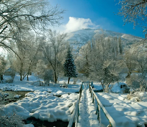 在哈萨克斯坦在 12 月的惊人下雪的冬天 — 图库照片