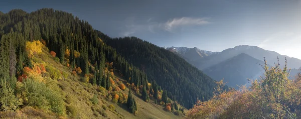 Закохатися в гори — стокове фото