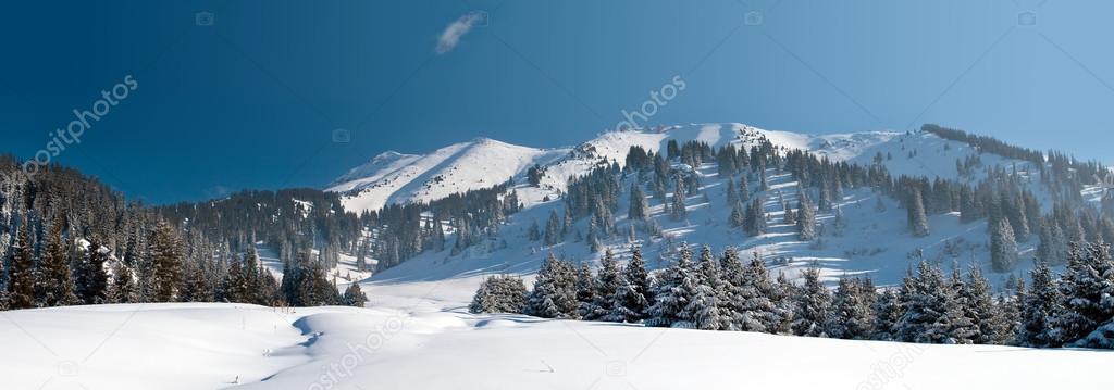 Snowy winter in mountain