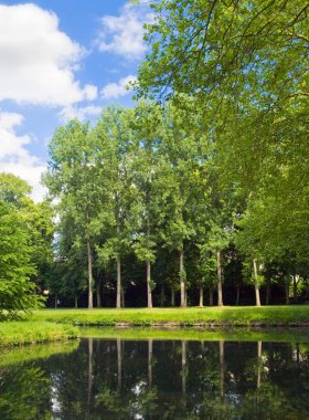 Yaz parlak yansıma gölet.