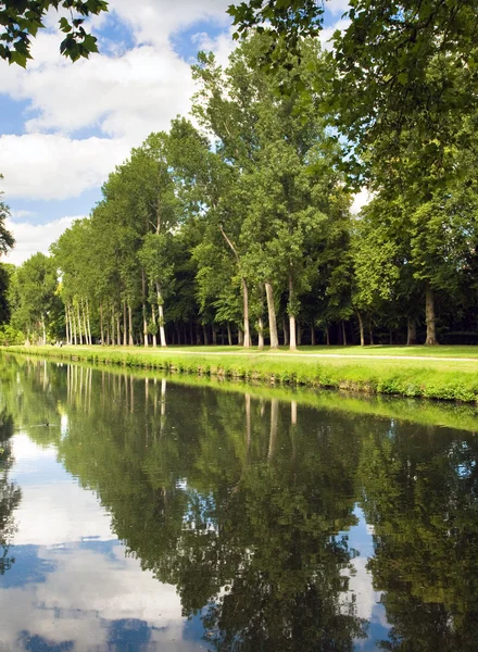 Summer Pond with a bright reflection. — Stock Photo, Image