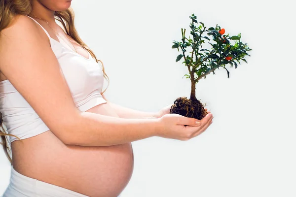 Una nuova vita come frutto dell'albero — Foto Stock