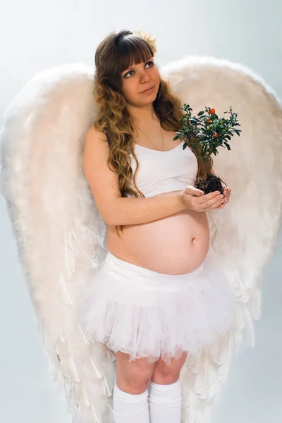 Zwangere engelachtige vrouw op witte achtergrond met kleine boom — Stockfoto