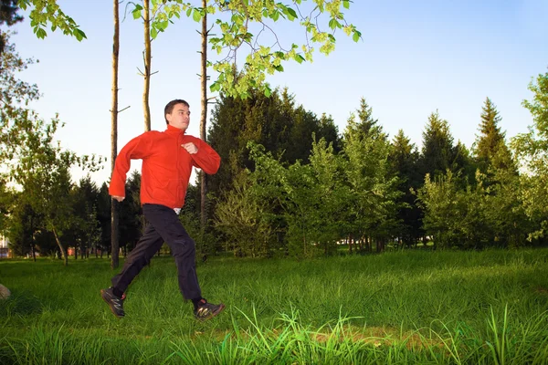 Young man jogging in the park Stock Picture