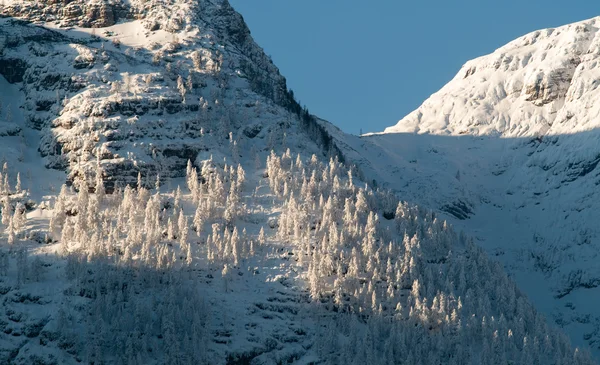 Chladné a zasněžené zimy v horských Rakousko — Stock fotografie