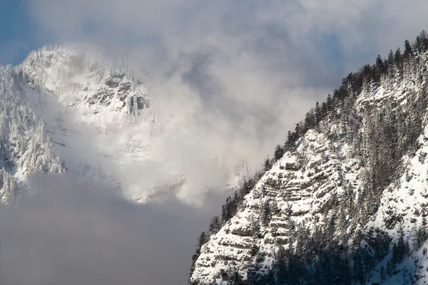 Inverno freddo e nevoso in montagna Austria — Foto Stock