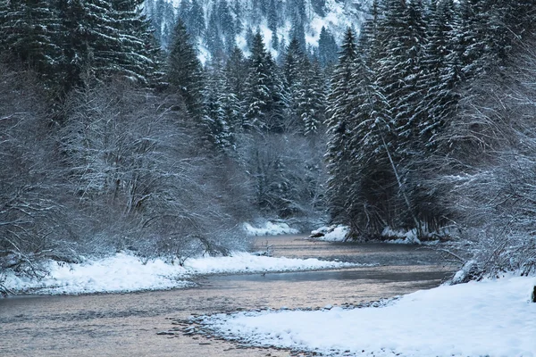 Inverno freddo e nevoso in montagna Austria — Foto Stock