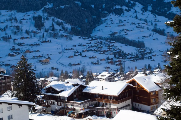 Some hotels near the Grindelwald ski area — ストック写真