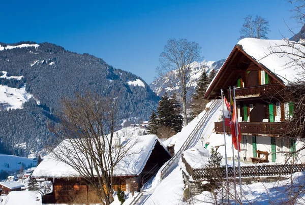 Some hotels near the Grindelwald ski area — ストック写真