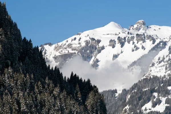 Summit in Switzerland — Stock fotografie