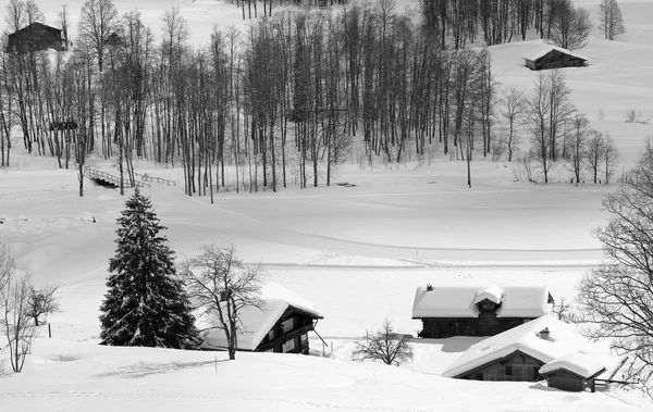 Trilha de esqui panorâmico cross-country perto de Grindelwald, Suíça — Fotografia de Stock