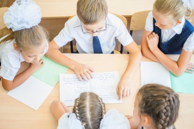 Group of schoolchildren at school classroom sitting at desk