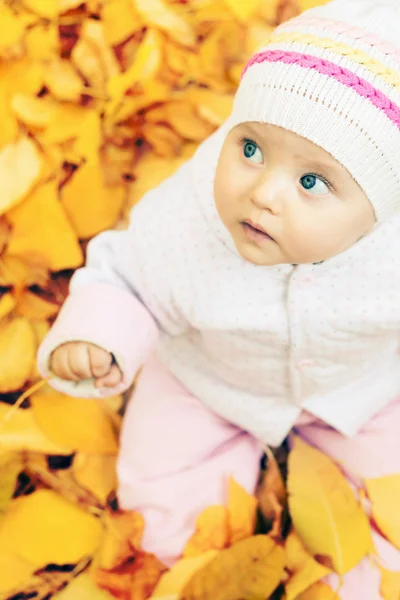Портрет дитини на осінньому парку з жовтим фоном листя — стокове фото