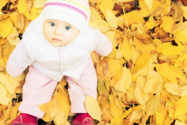 Portrait of baby at autumn park with yellow leaves background — Stock Photo, Image