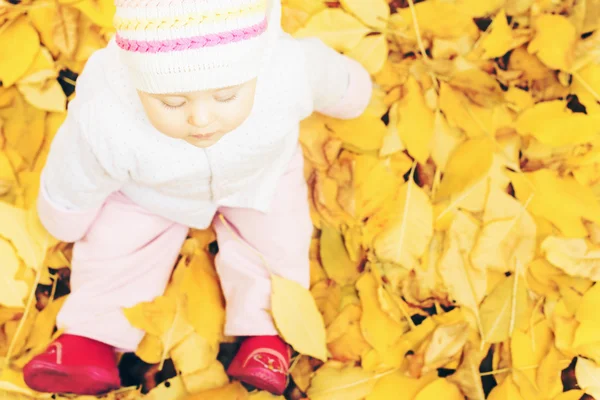 Retrato del bebé en el parque de otoño con hojas amarillas de fondo —  Fotos de Stock