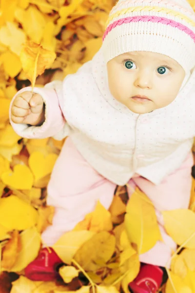 Baby at autumn park with yellow leaves background — Stock Photo, Image