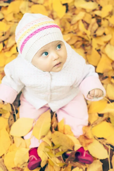 Baby at autumn park with yellow leaves background — ストック写真