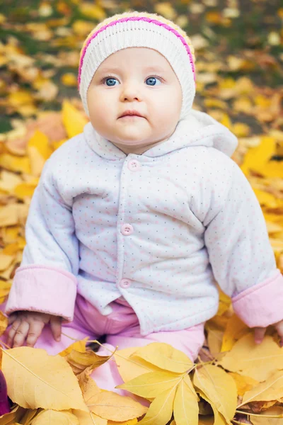 Portrait of baby at autumn park with yellow leaves background — Stock Photo, Image