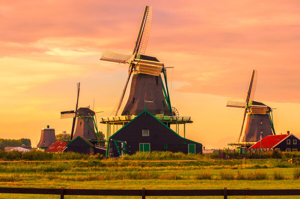 Dutch windmills against pink sky