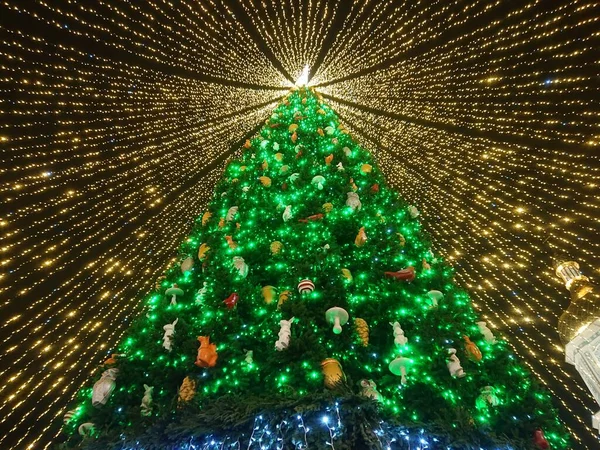 Weihnachtsbaum Dekoration — Stockfoto