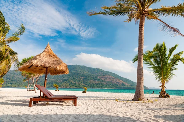 Empty wooden beach chairs on the beach with coconut tree — Stock Photo, Image