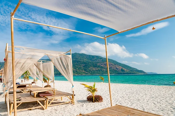 Отдохните на роскошном VIP-пляже с красивыми павлинами в солнечном свете. — стоковое фото