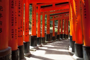  Torii kapılarında Fushimi Inari tapınak Kyoto, Japonya