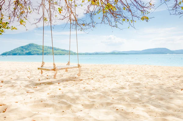 Balançar sob a árvore na praia calma . — Fotografia de Stock