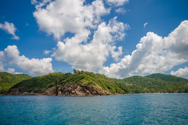 Hindistan cevizi ağacı Samui Adası — Stok fotoğraf