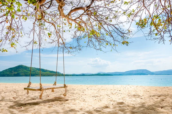 Ağacın altında asılı sahilde salıncak