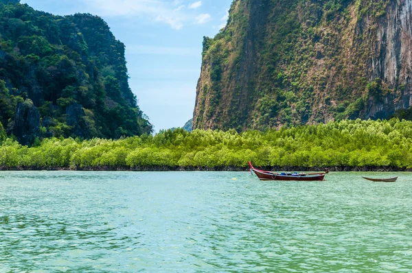 Langschwanzboot hielt vor Mangrovenbäumen, Phang Nga Bay, — Stockfoto