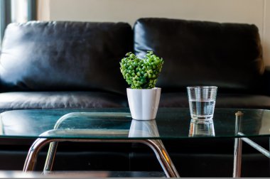 Kalp şekli bitki pot