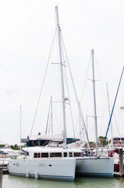 Limanda rıhtım katamaran